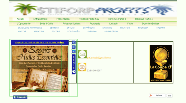 stiforpprofits.net