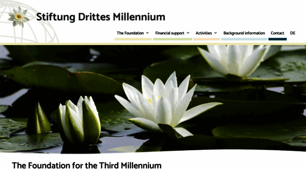 stiftung-drittes-millennium.com