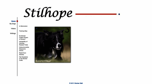 stilhope.com