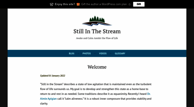 stillinthestream.com