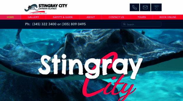 stingraycitycaymanislands.com