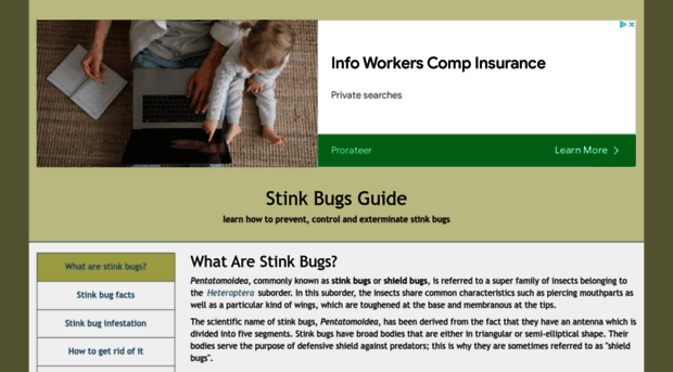 stinkbugsguide.net