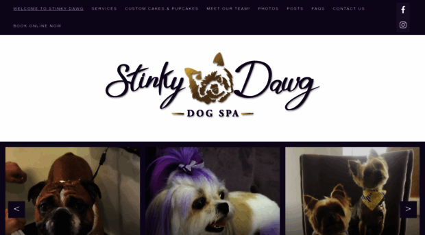 stinkydawgwash.com