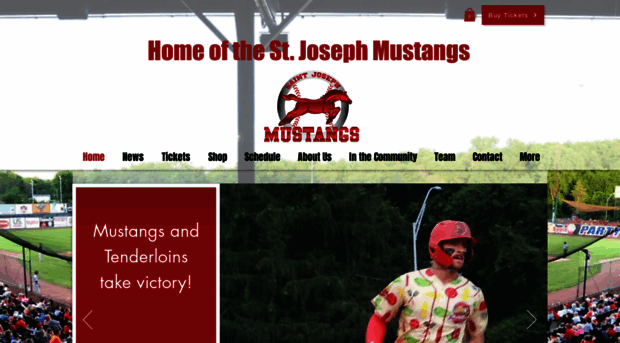 stjoemustangs.com