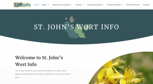 stjohnswortinfo.com