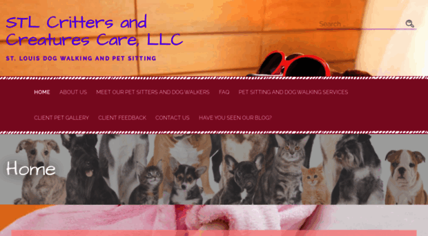 stlcrittersandcreatures.com