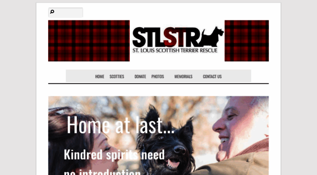 stlouisscottierescue.com