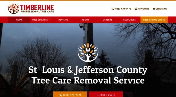 stltreecare.com