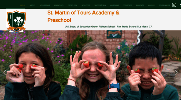 stmartinacademy.org