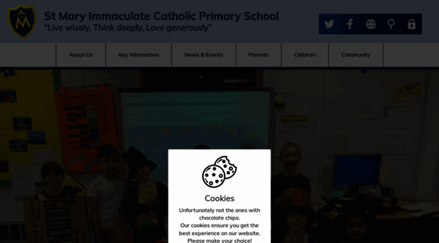 stmaryimmaculateschool.co.uk