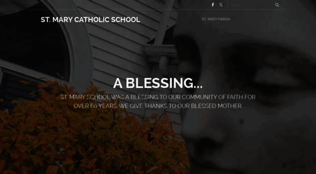 stmaryschoolvermilion.org