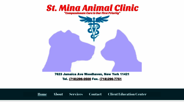 stminaclinic.com