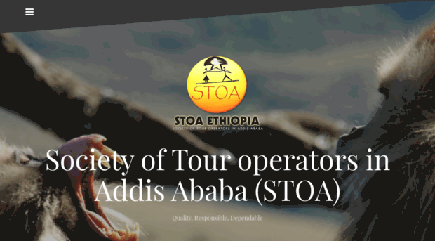 stoa-ethiopia.org