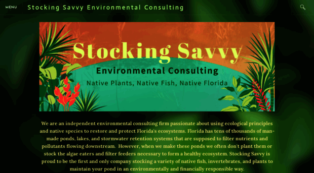 stockingsavvy.com