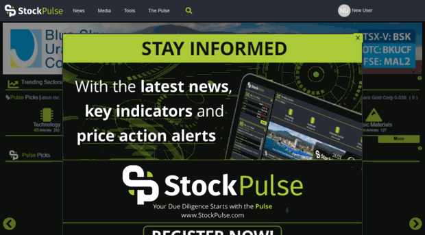 stockpulse.com