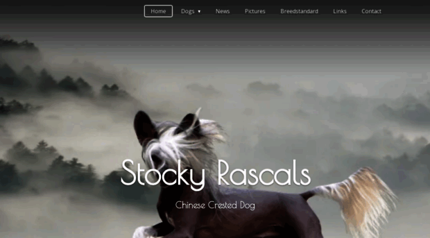 stockyrascals.be