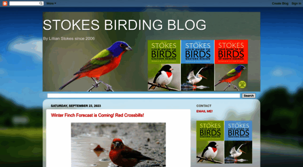 stokesbirdingblog.blogspot.com