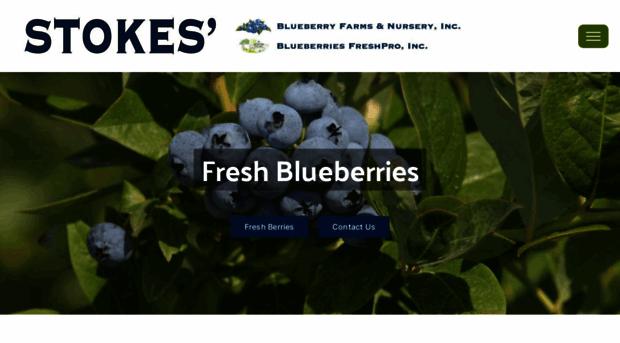 stokesblueberries.com