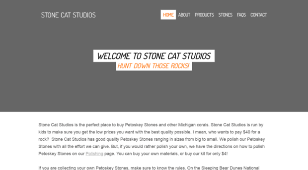 stonecatstudios.weebly.com
