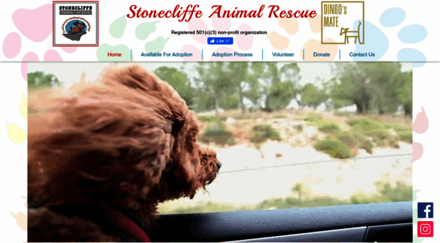 stoneclifferescue.org