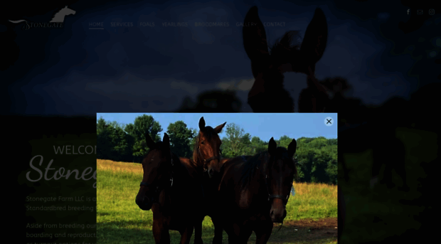 stonegatefarm.com