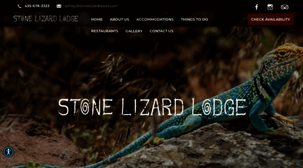 stonelizardlodging.com