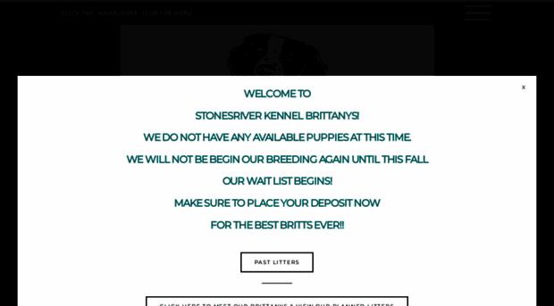 stonesriverkennel.com