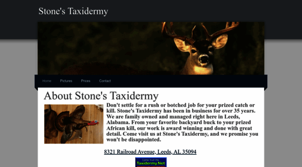 stonestaxidermy.weebly.com