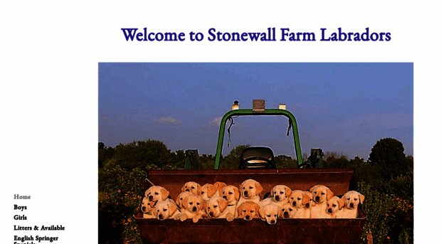 stonewallfarmlabradors.com