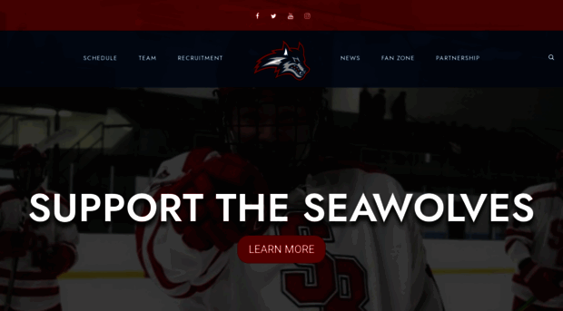 stonybrookhockey.com