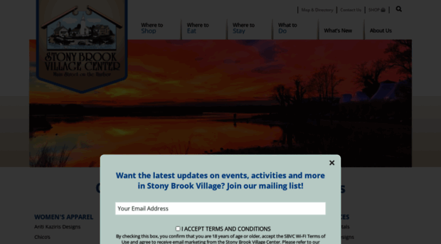 stonybrookvillage.com