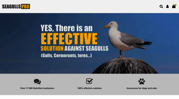 stop-seagulls.com