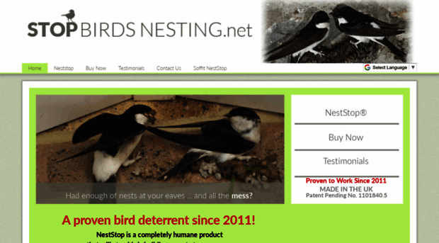 stopbirdsnesting.net