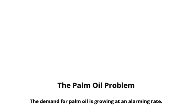 stopthepalmoilproblem.weebly.com