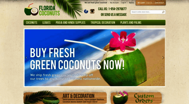 store.florida-coconuts.com