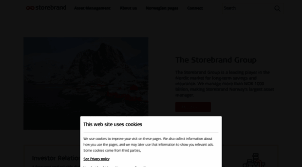 storebrand.com