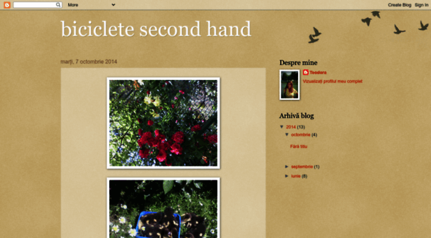 storeofrose19.blogspot.ro
