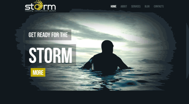 storm-global.com