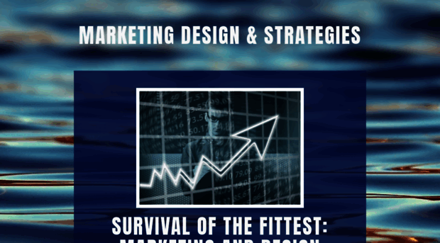 stormandsavagemarketing.com