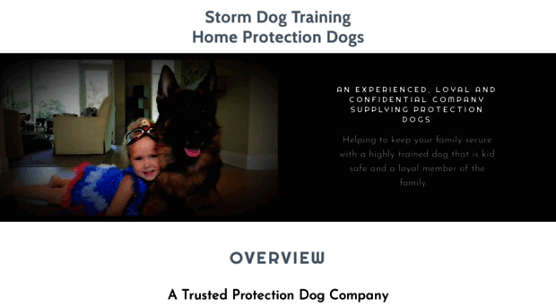 stormdogtraining.com