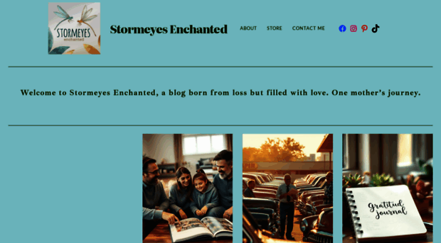 stormeyescares.com