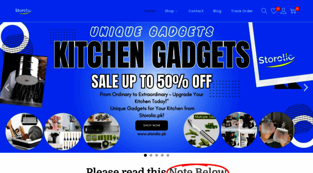storolic.pk