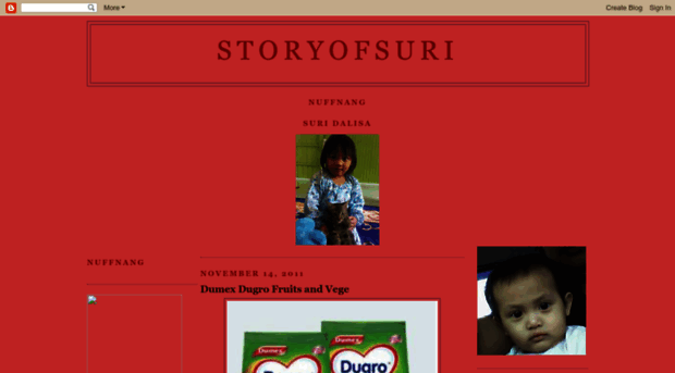 storyofsuri.blogspot.com