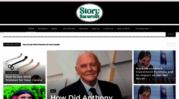 storysavernet.com