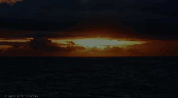 storytelling.11thhourracing.org