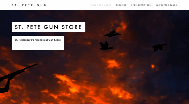 stpetegunstore.com