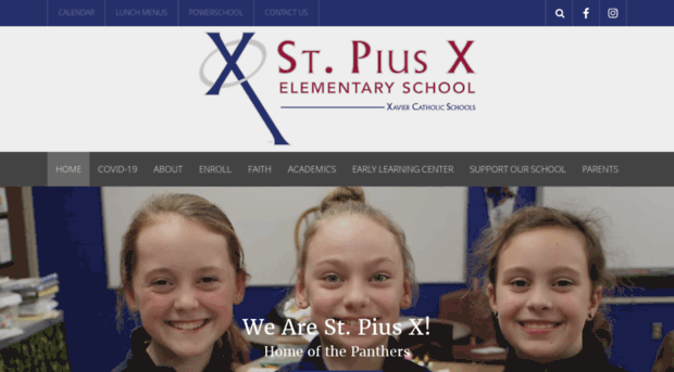 stpiusxschoolcr.com