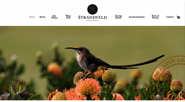 strandveld.co.za