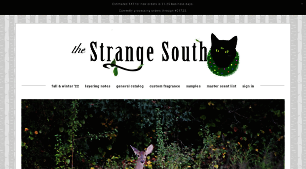 strange-south.com