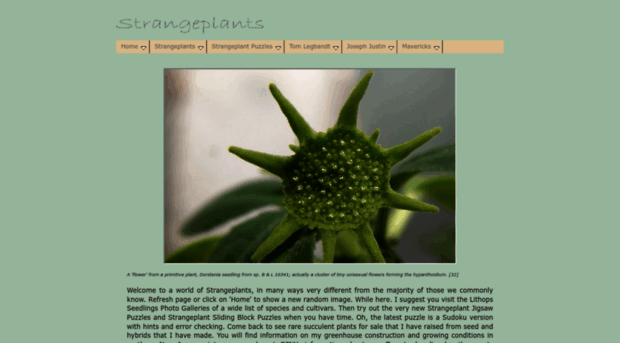 strangeplants.com